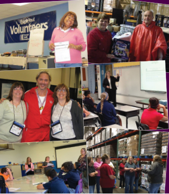 Collage of photos of Sue Noyes volunteering, including meeting Dan Maddux for the first time.