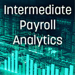 Intermediate Payroll Analytics button