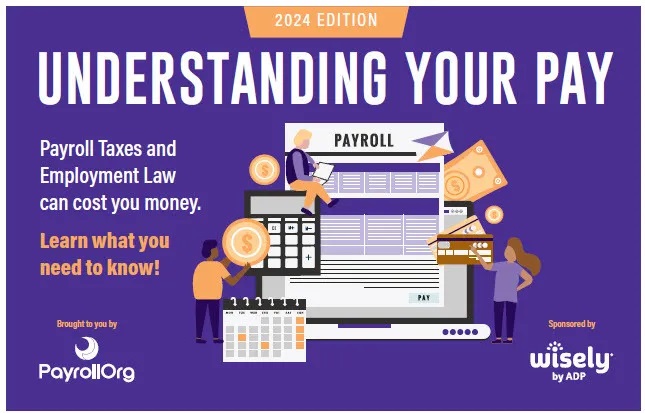 Understanding Pay ebook